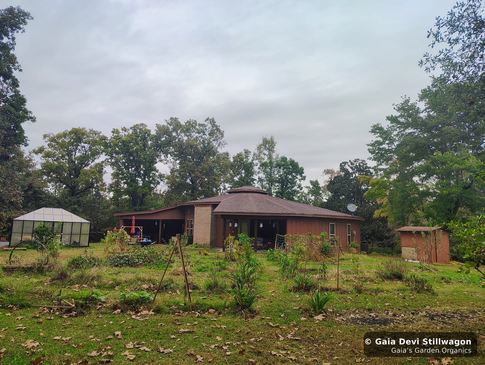 The medicinal herb garden at Gaia's Garden Organics, Umpire, Arkansas · Gaia Devi, clinical herbalist