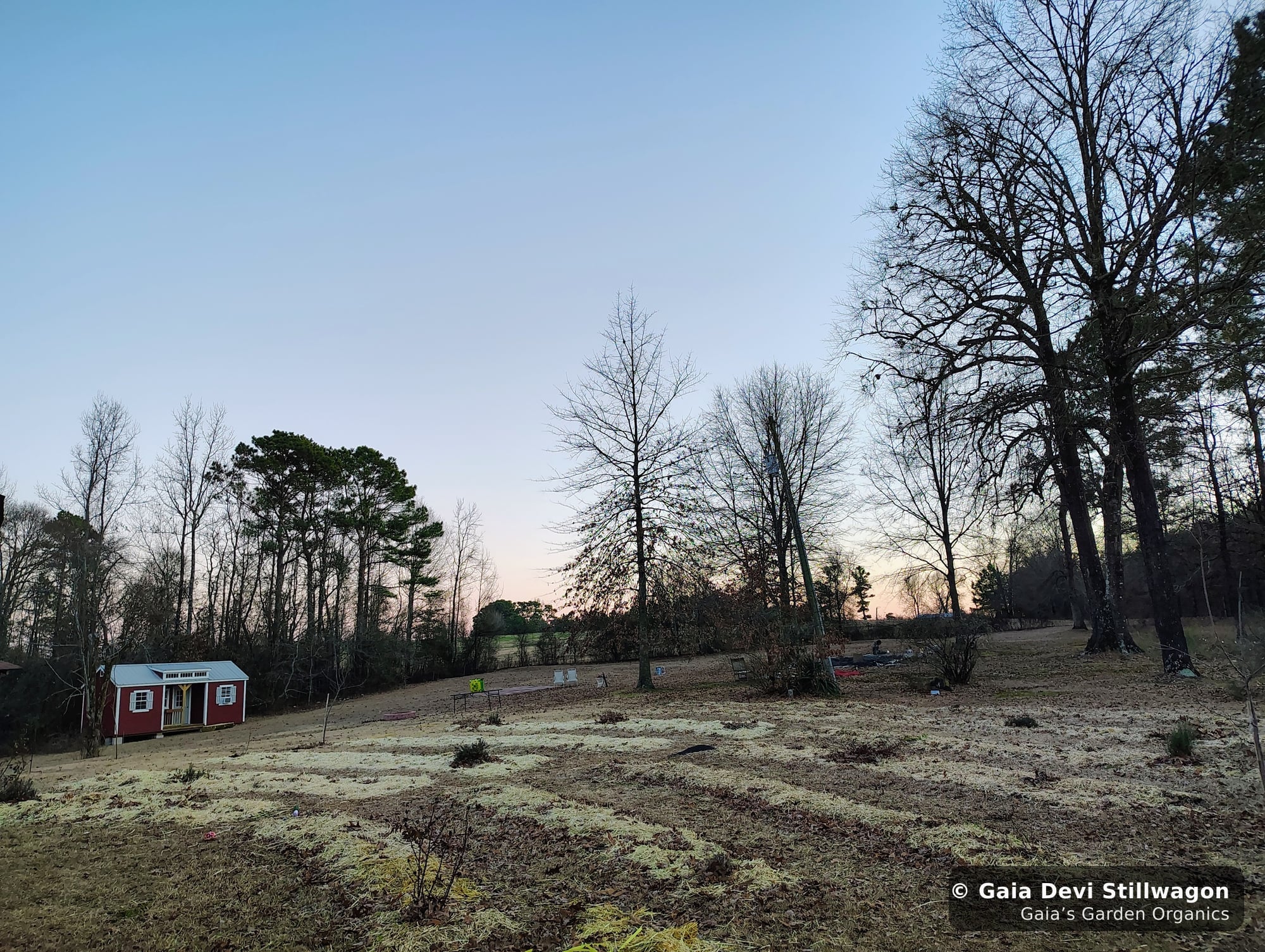 The medicinal herb garden at Gaia's Garden Organics, Umpire, Arkansas · Gaia Devi, clinical herbalist