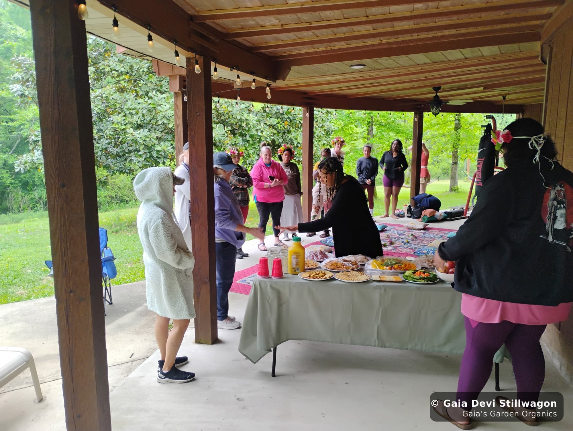 The medicinal herb garden at Gaia's Garden Organics, Umpire, Arkansas · Gaia Devi, clinical herbalist