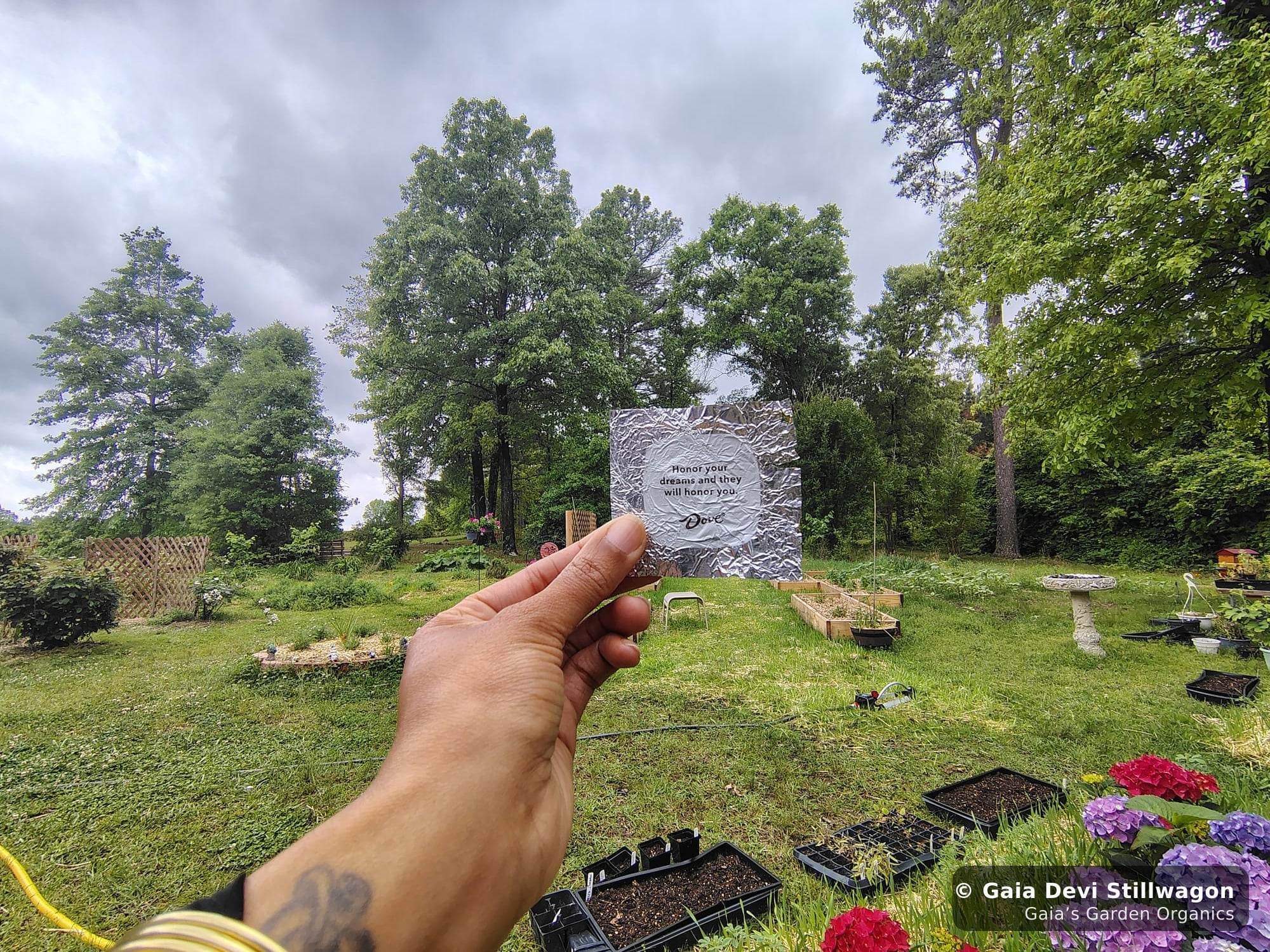 The medicinal herb garden at Gaia's Garden Organics — Umpire, Arkansas · Gaia Devi, clinical herbalist