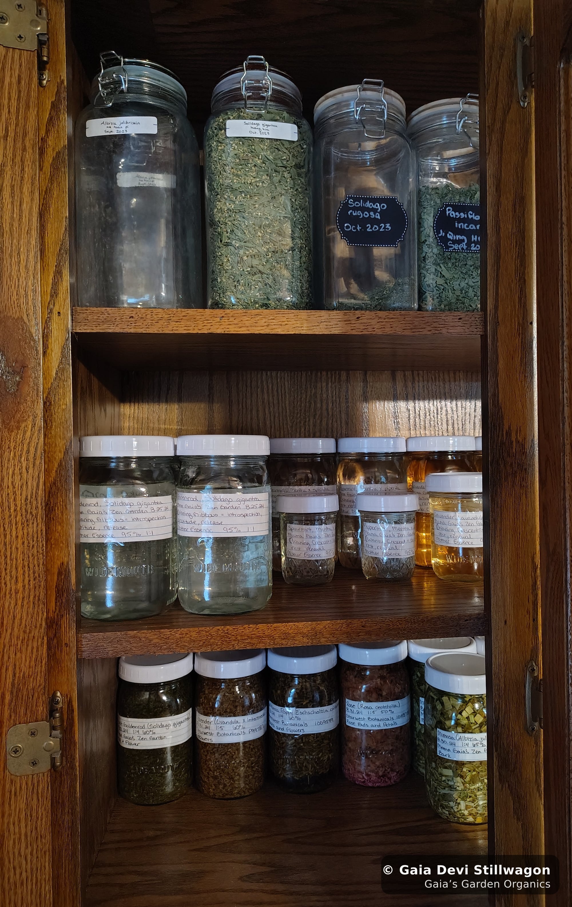 The medicinal herb garden at Gaia's Garden Organics, Umpire, Arkansas · Gaia Devi, clinical herbalist