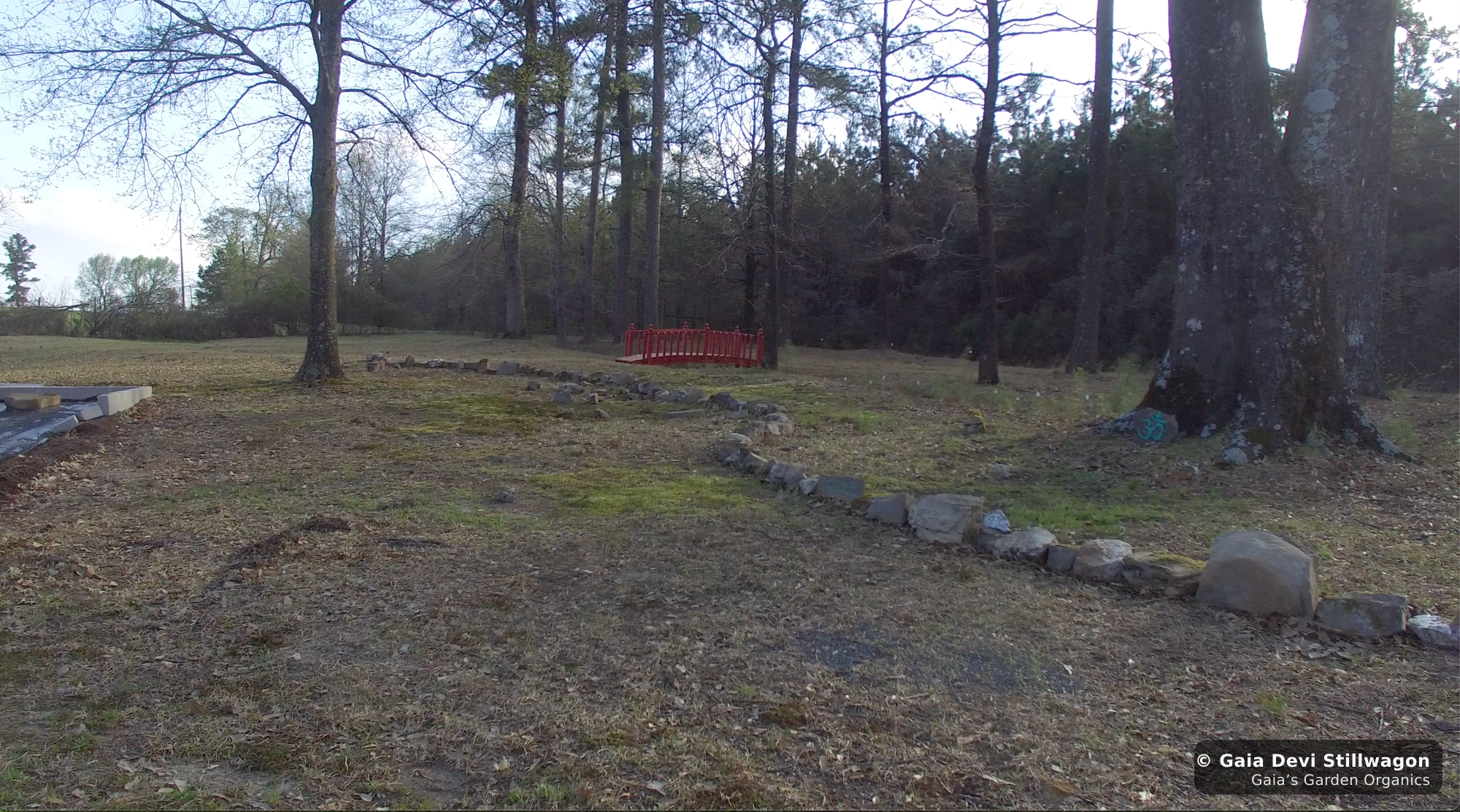 The medicinal herb garden at Gaia's Garden Organics, Umpire, Arkansas · Gaia Devi, clinical herbalist