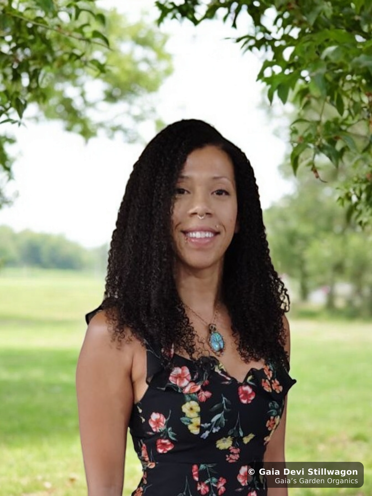 The medicinal herb garden at Gaia's Garden Organics, Umpire, Arkansas · Gaia Devi, clinical herbalist