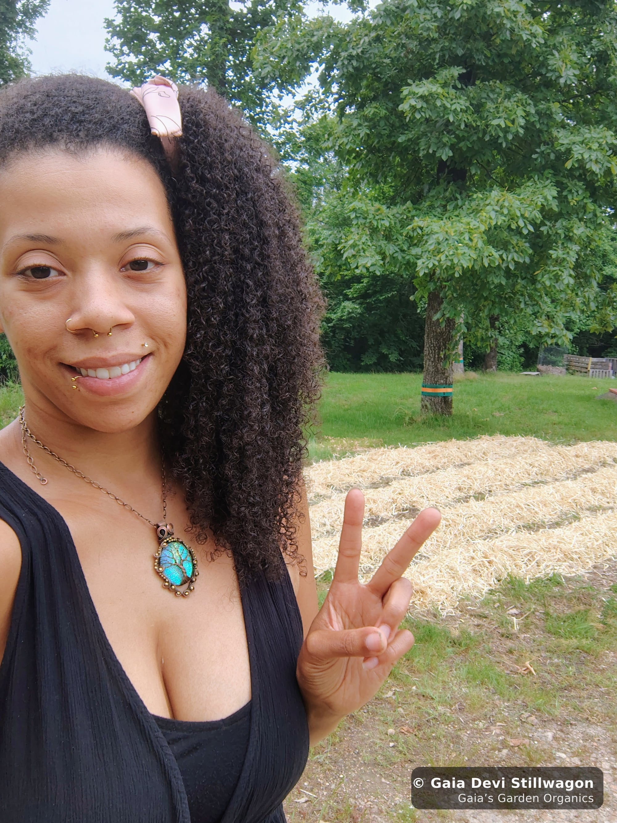 The medicinal herb garden at Gaia's Garden Organics, Umpire, Arkansas · Gaia Devi, clinical herbalist