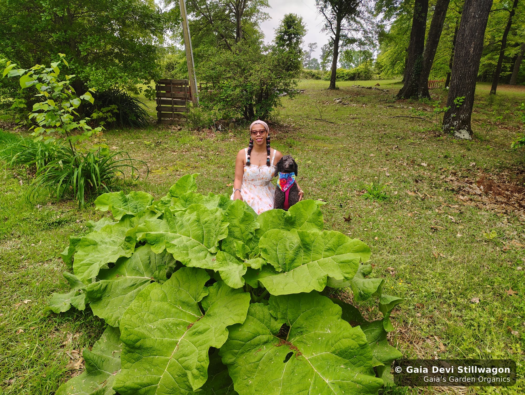 Gaia Devi, clinical herbalist, with Samadhi standing behind a giant burdock plant in the medicine garden, both photographed mid-frame against a mulberry tree growing in the background