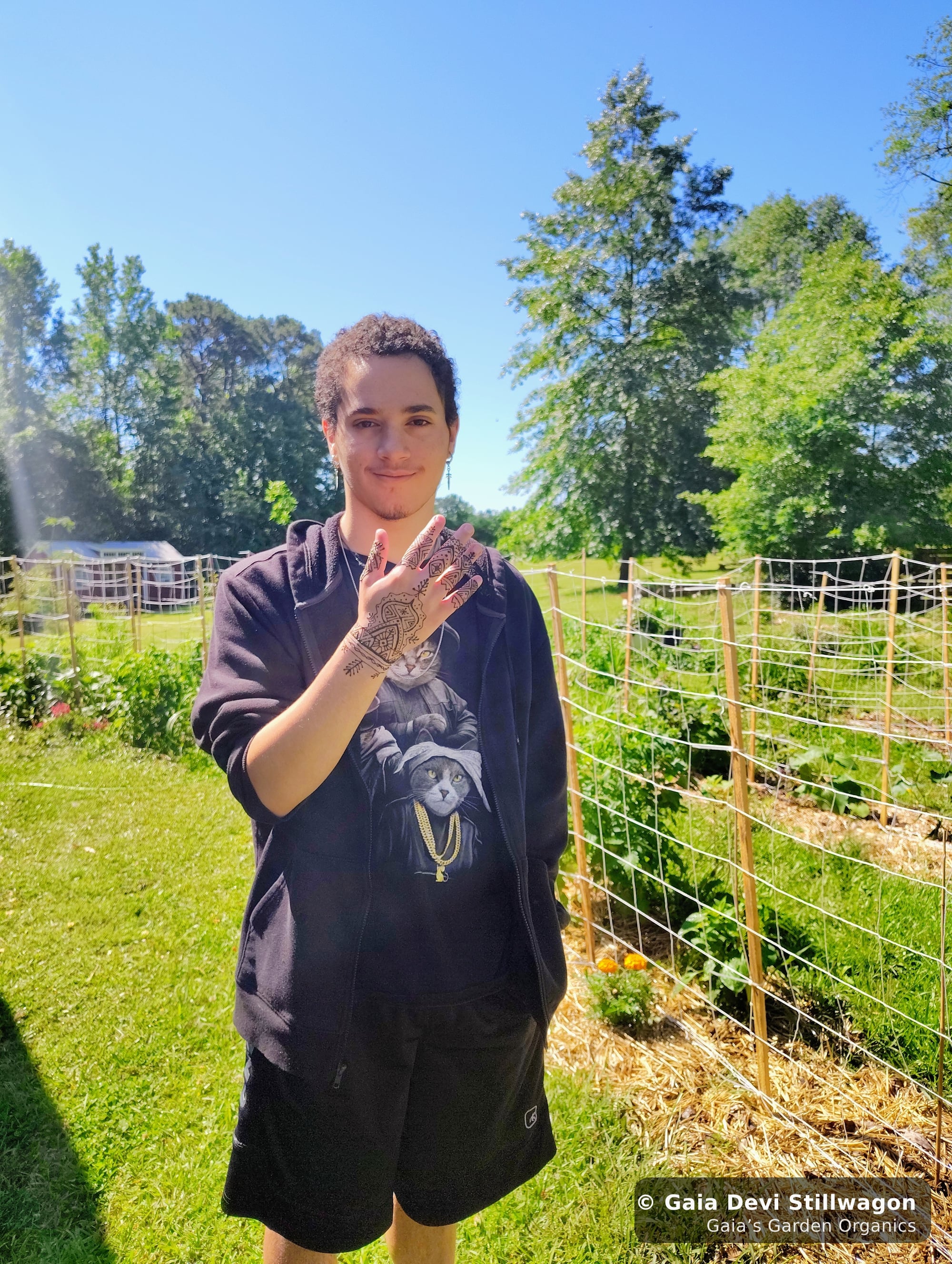 The medicinal herb garden at Gaia's Garden Organics, Umpire, Arkansas · Gaia Devi, clinical herbalist