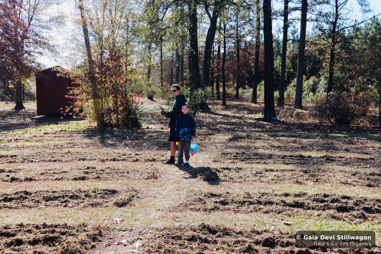 The medicinal herb garden at Gaia's Garden Organics, Umpire, Arkansas · Gaia Devi, clinical herbalist