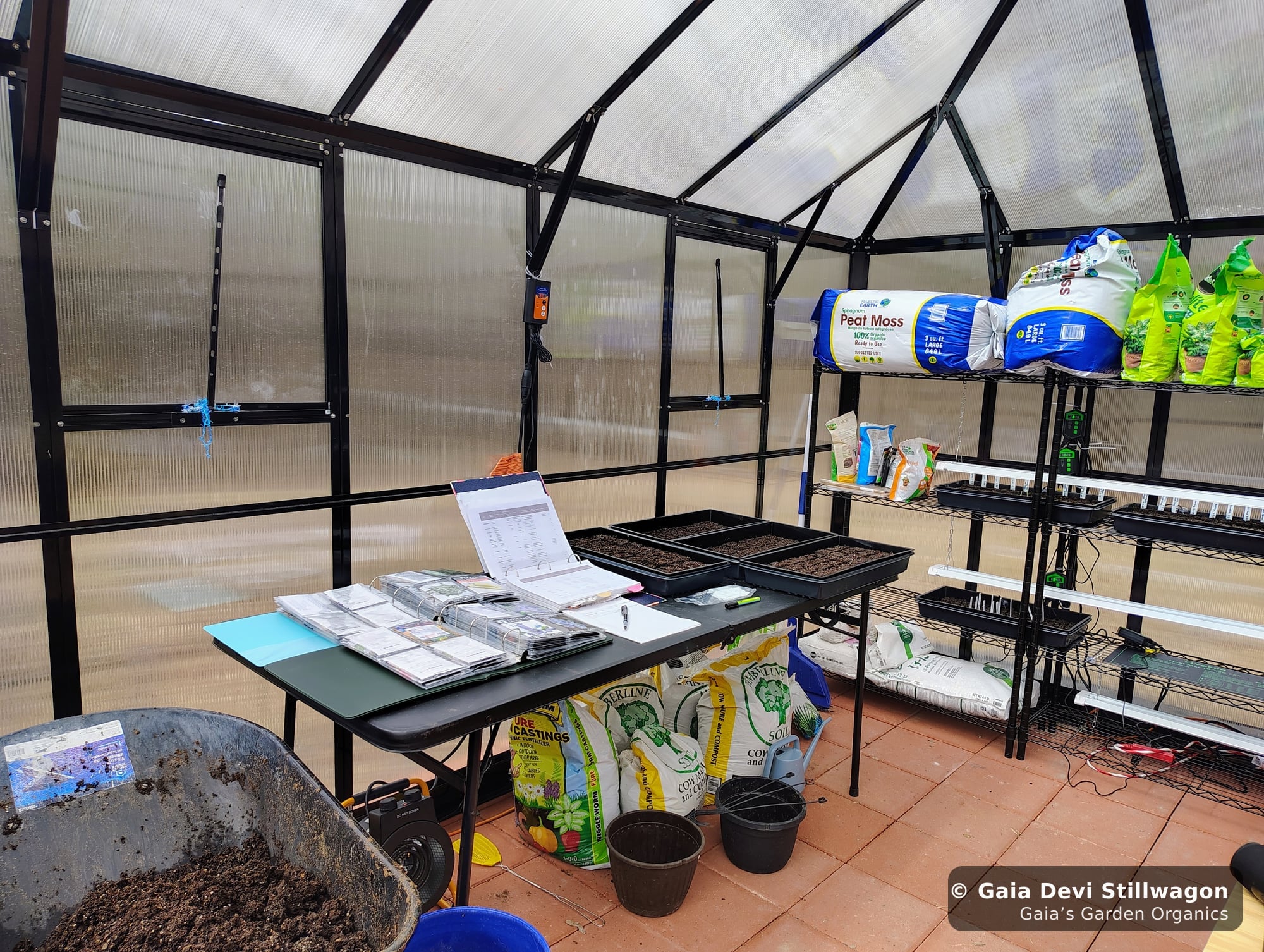 The medicinal herb garden at Gaia's Garden Organics, Umpire, Arkansas · Gaia Devi, clinical herbalist