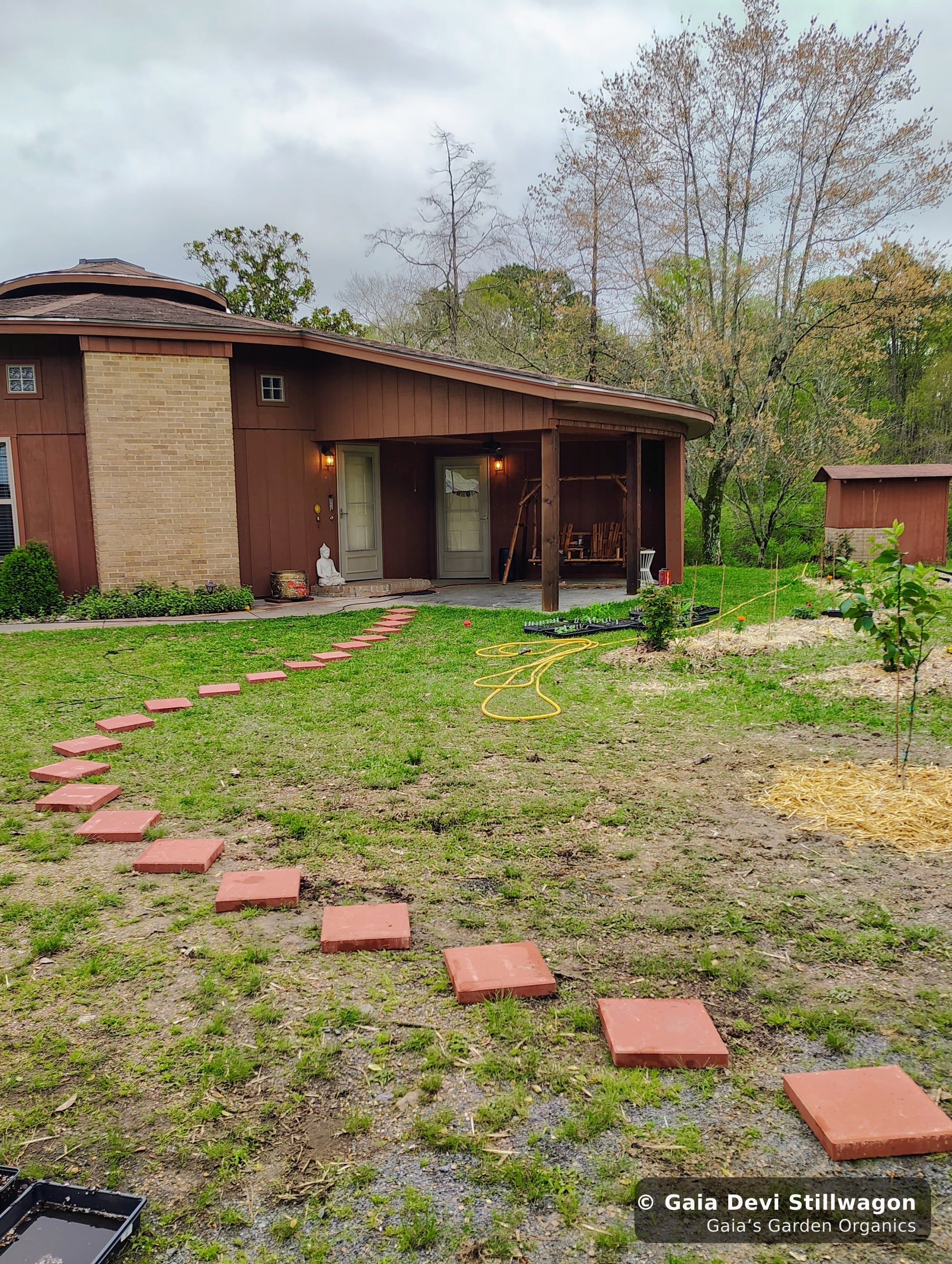 The medicinal herb garden at Gaia's Garden Organics, Umpire, Arkansas · Gaia Devi, clinical herbalist