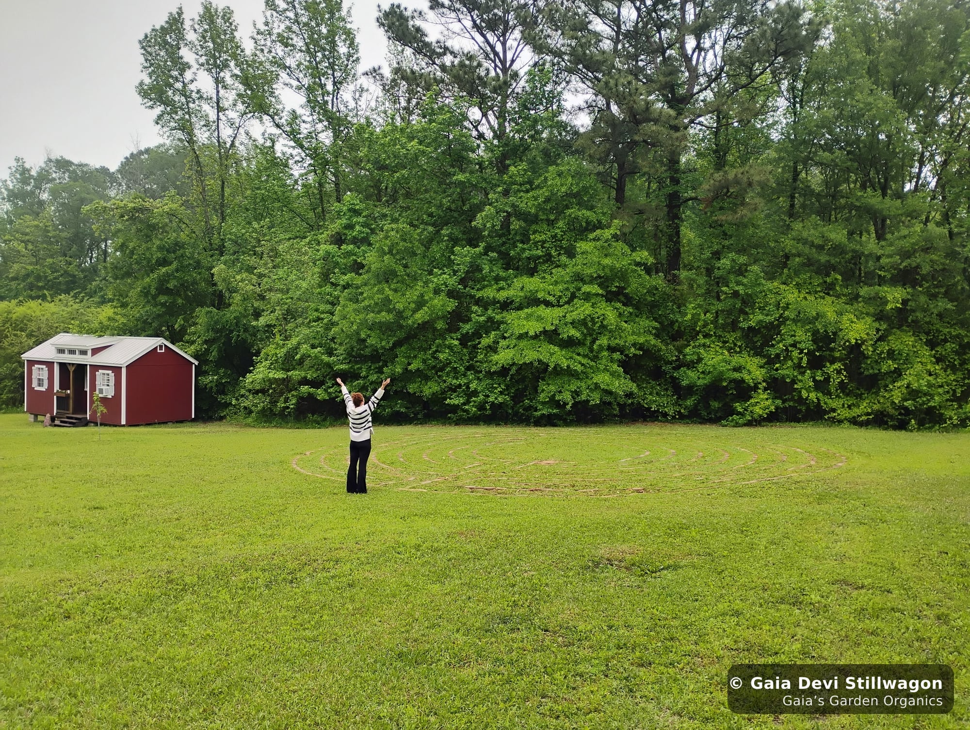 The medicinal herb garden at Gaia's Garden Organics, Umpire, Arkansas · Gaia Devi, clinical herbalist
