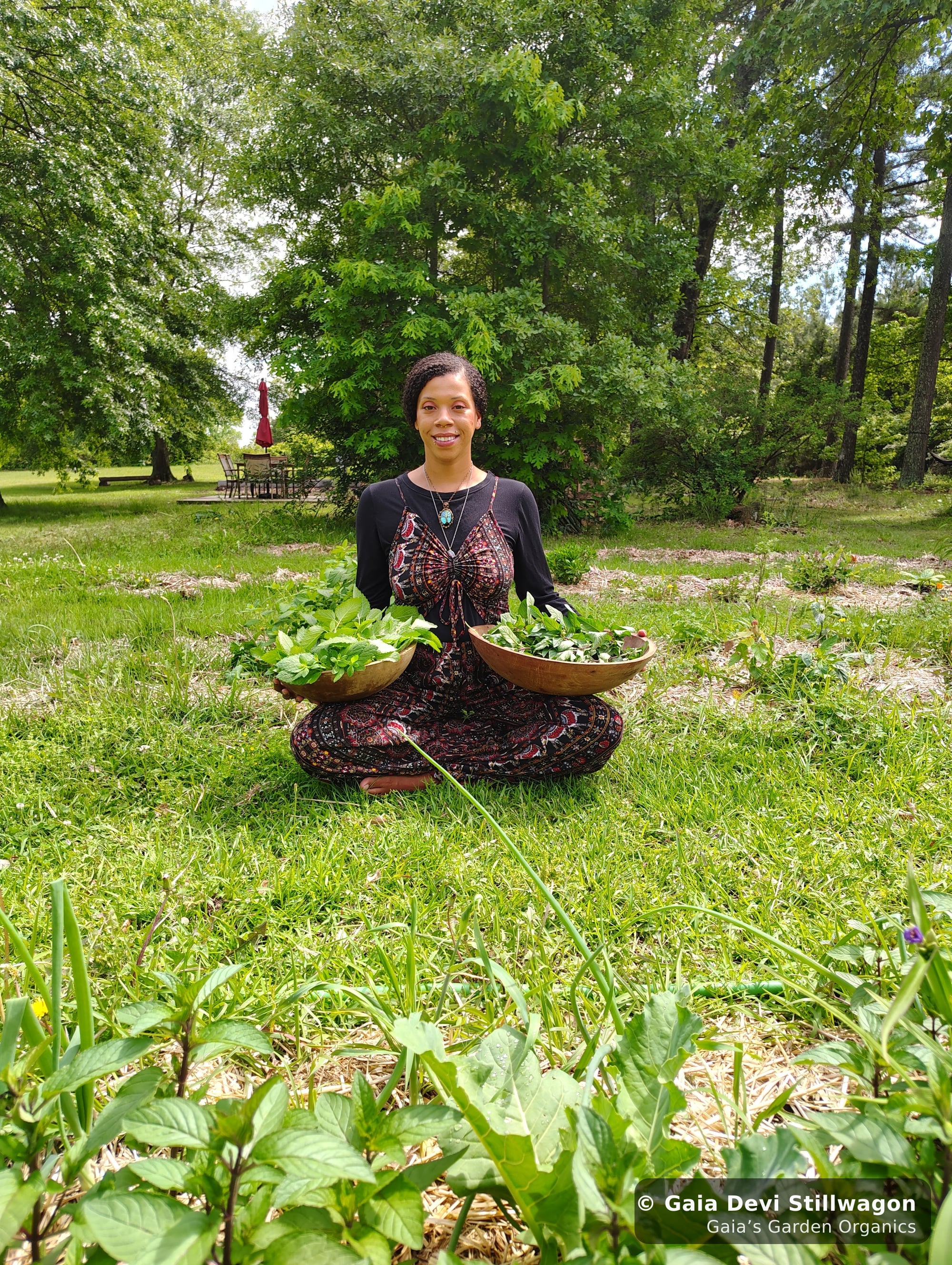 The medicinal herb garden at Gaia's Garden Organics, Umpire, Arkansas · Gaia Devi, clinical herbalist