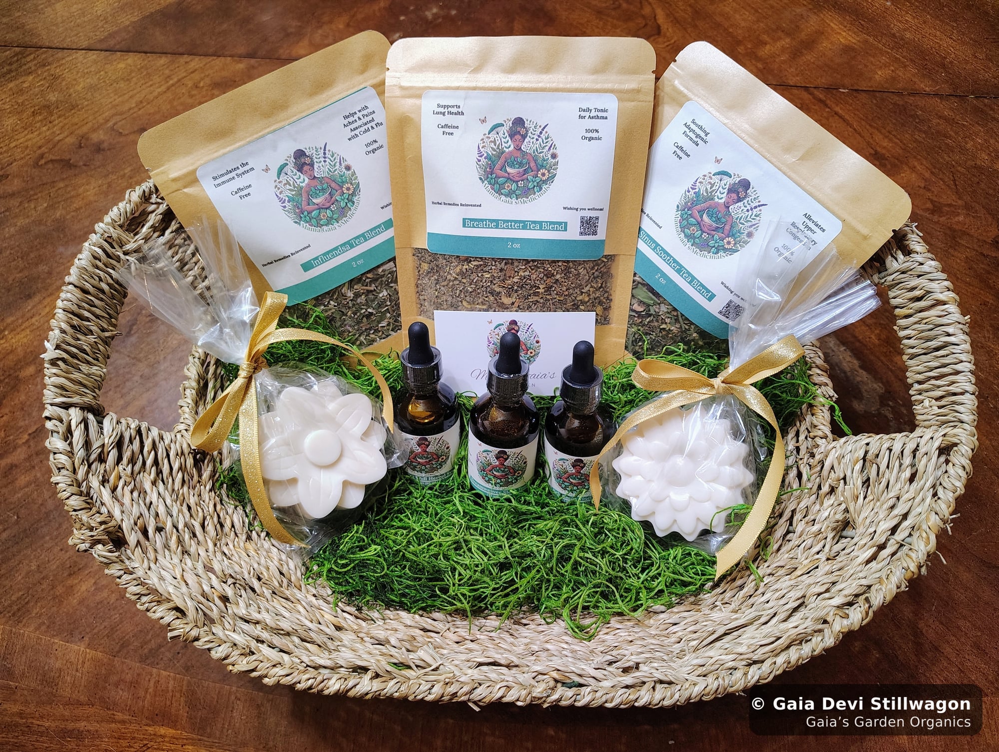The medicinal herb garden at Gaia's Garden Organics, Umpire, Arkansas · Gaia Devi, clinical herbalist