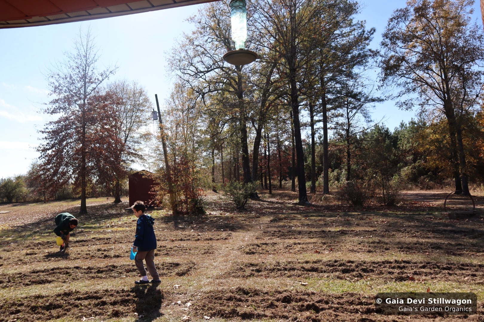 The medicinal herb garden at Gaia's Garden Organics, Umpire, Arkansas · Gaia Devi, clinical herbalist