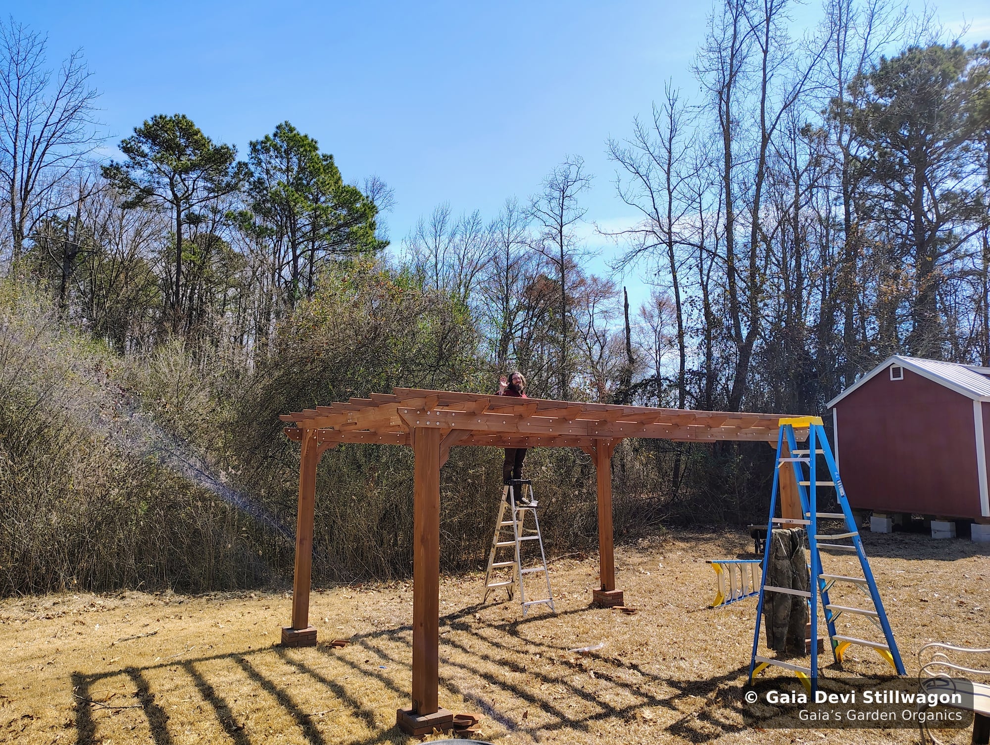The medicinal herb garden at Gaia's Garden Organics, Umpire, Arkansas · Gaia Devi, clinical herbalist
