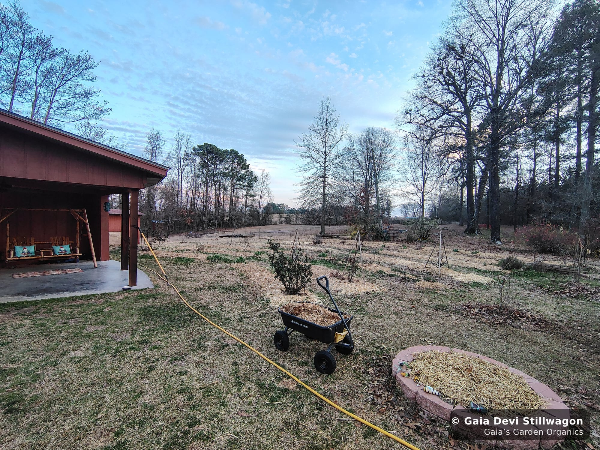 The medicinal herb garden at Gaia's Garden Organics, Umpire, Arkansas · Gaia Devi, clinical herbalist