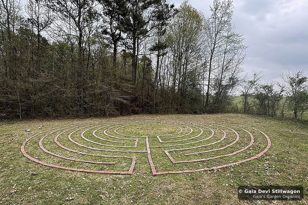 The medicinal herb garden at Gaia's Garden Organics, Umpire, Arkansas · Gaia Devi, clinical herbalist
