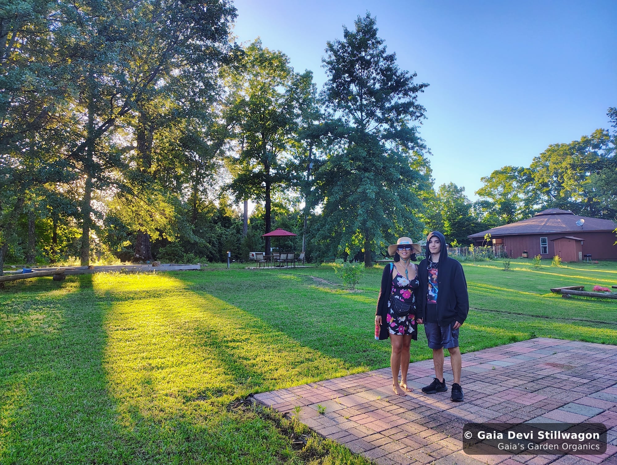 The medicinal herb garden at Gaia's Garden Organics, Umpire, Arkansas · Gaia Devi, clinical herbalist