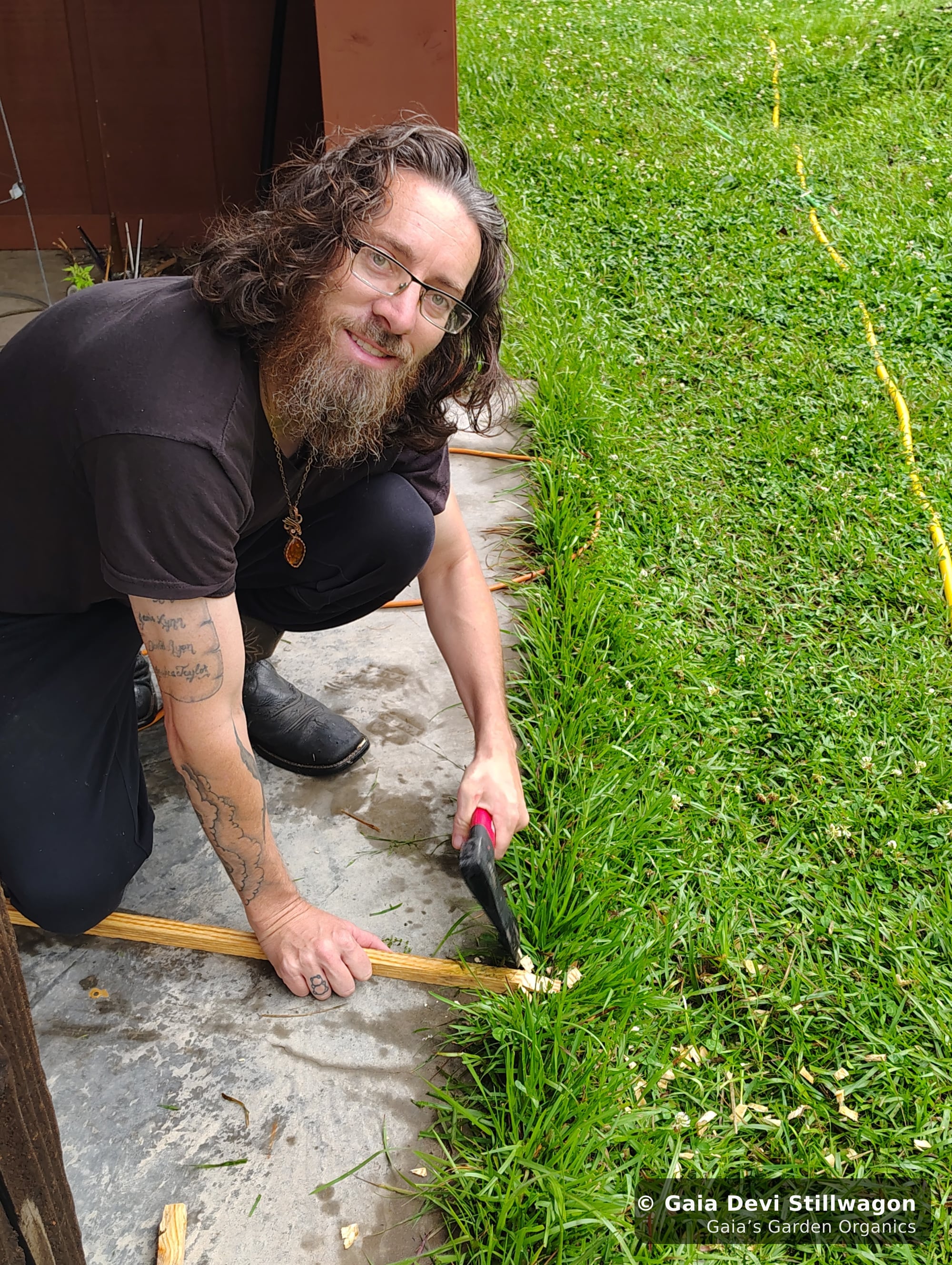 The medicinal herb garden at Gaia's Garden Organics, Umpire, Arkansas · Gaia Devi, clinical herbalist