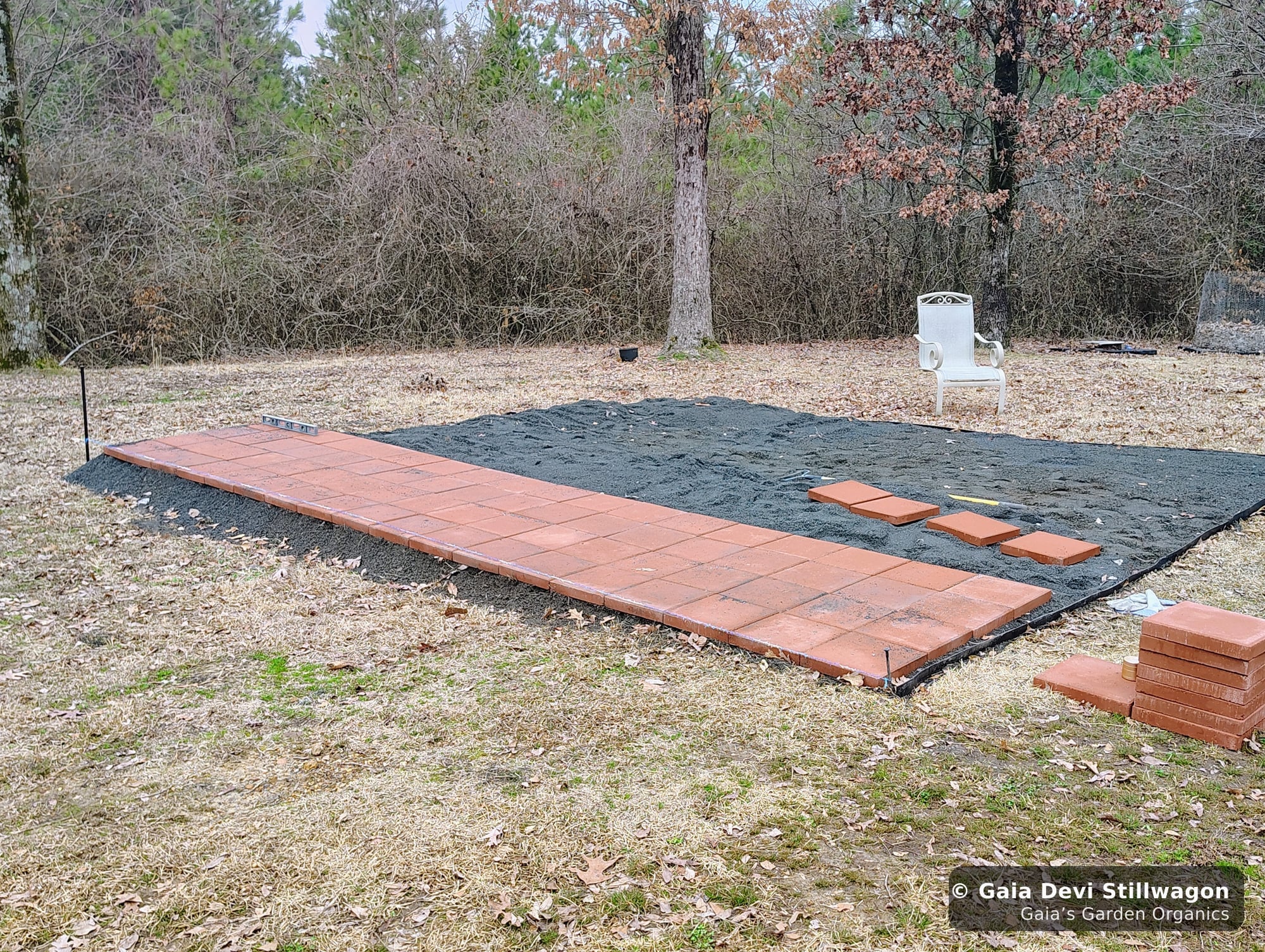 The medicinal herb garden at Gaia's Garden Organics, Umpire, Arkansas · Gaia Devi, clinical herbalist
