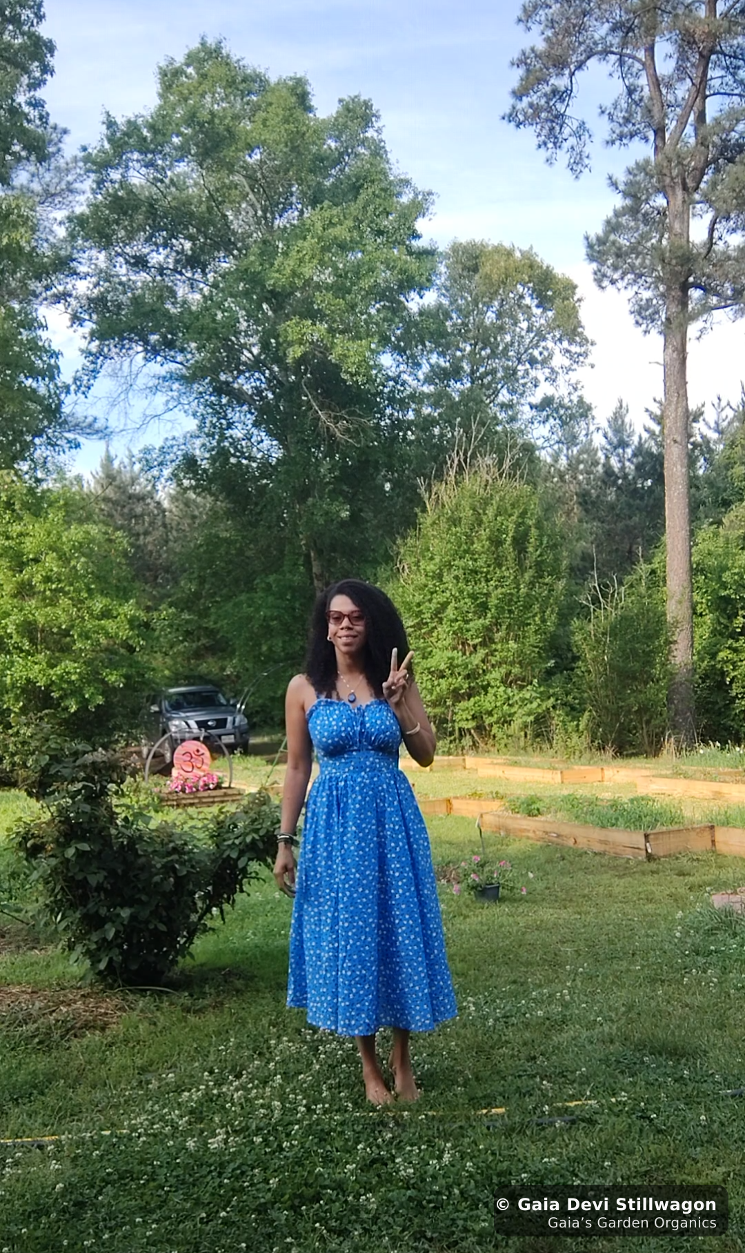 The medicinal herb garden at Gaia's Garden Organics, Umpire, Arkansas · Gaia Devi, clinical herbalist