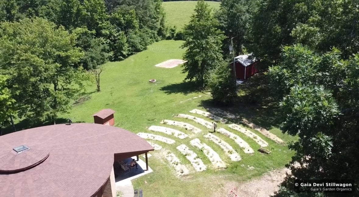 The medicinal herb garden at Gaia's Garden Organics, Umpire, Arkansas · Gaia Devi, clinical herbalist