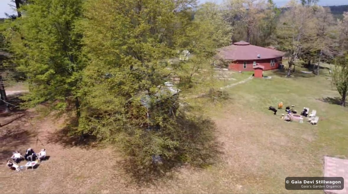 The medicinal herb garden at Gaia's Garden Organics, Umpire, Arkansas · Gaia Devi, clinical herbalist