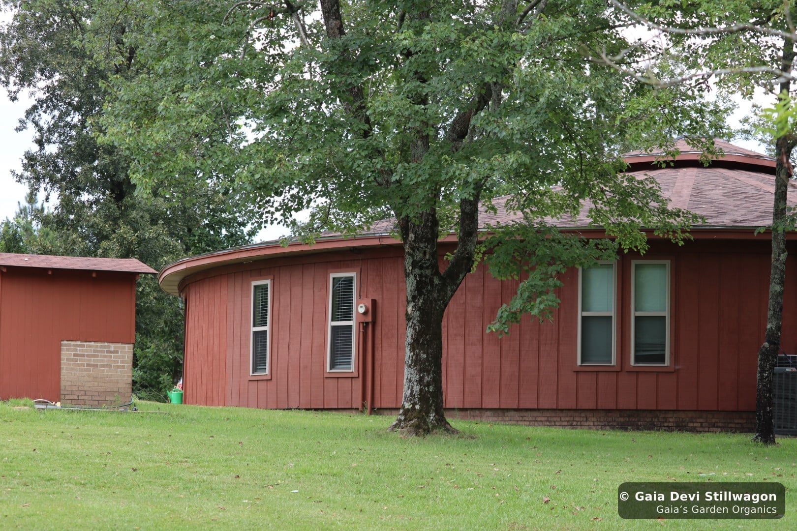 The medicinal herb garden at Gaia's Garden Organics, Umpire, Arkansas · Gaia Devi, clinical herbalist