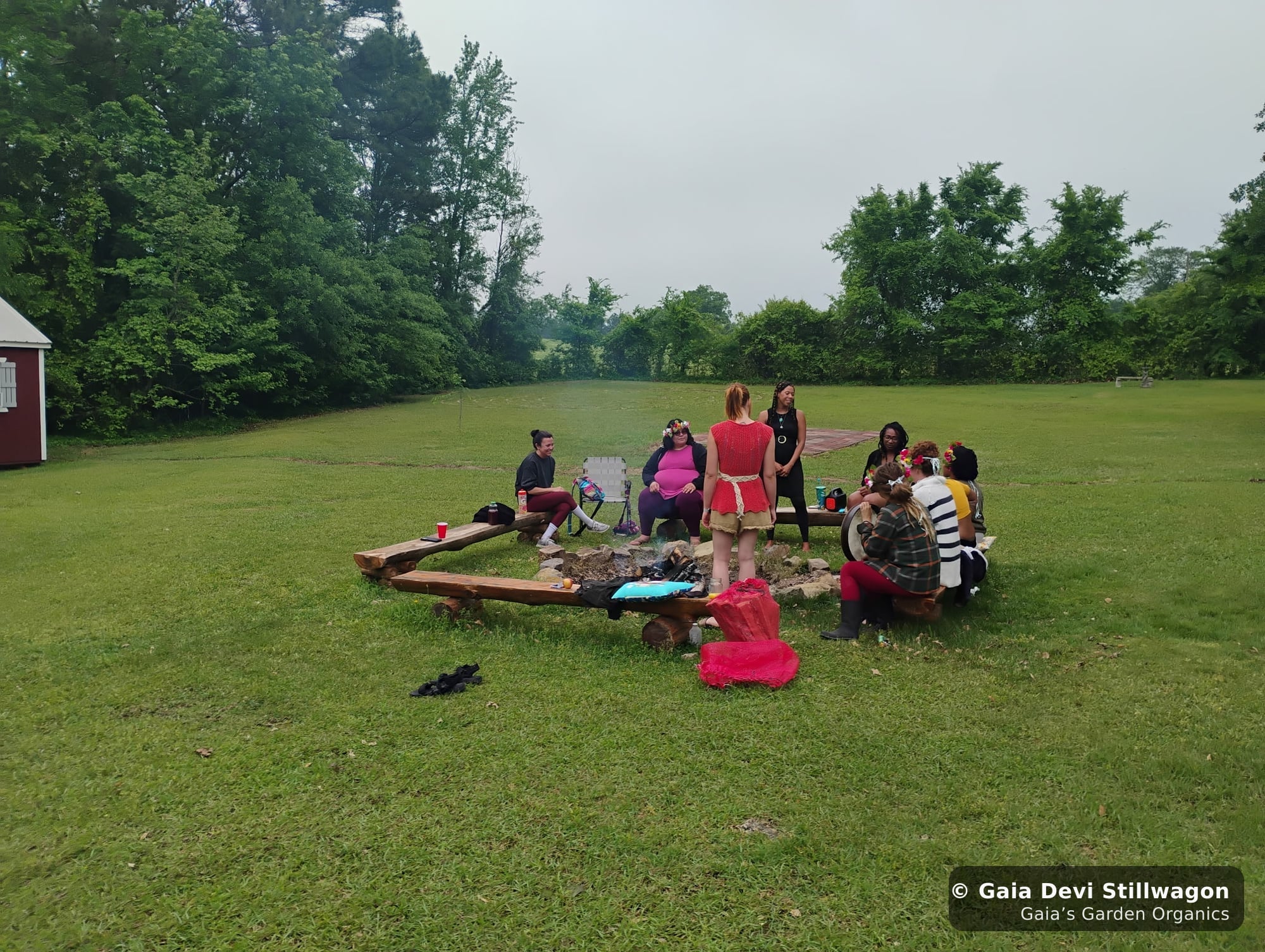 The medicinal herb garden at Gaia's Garden Organics, Umpire, Arkansas · Gaia Devi, clinical herbalist