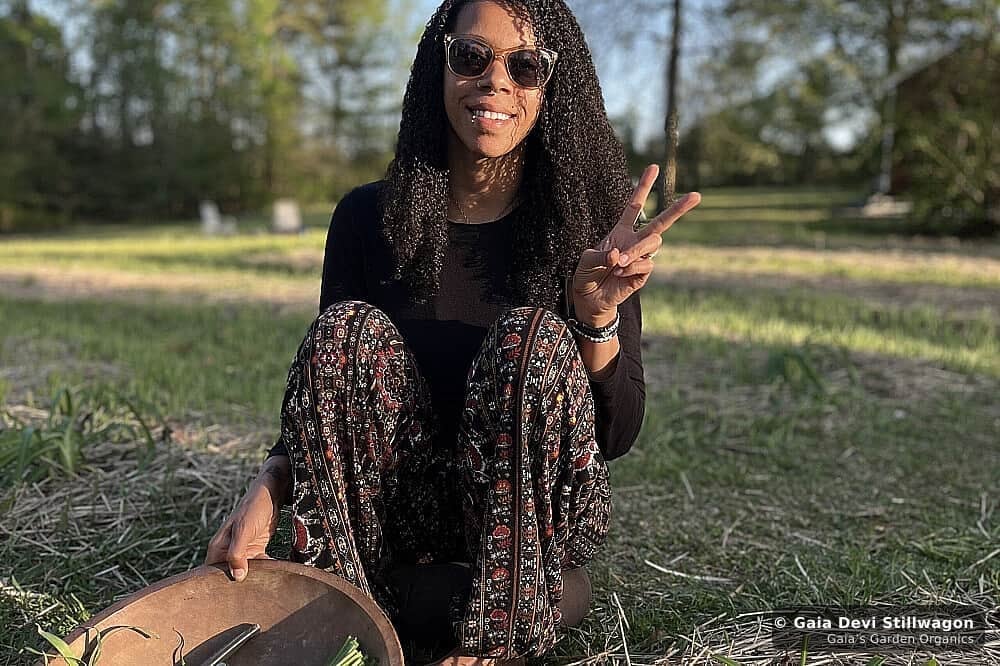 The medicinal herb garden at Gaia's Garden Organics, Umpire, Arkansas · Gaia Devi, clinical herbalist