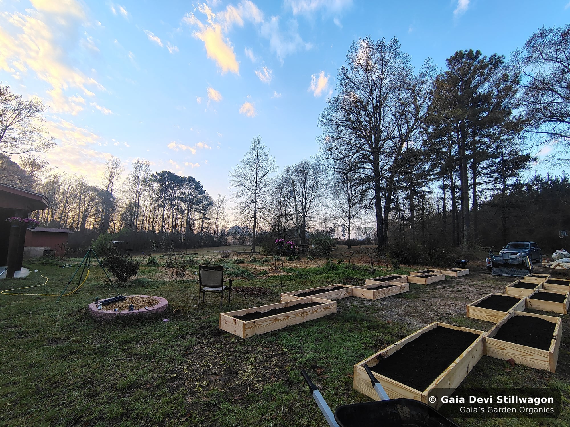The medicinal herb garden at Gaia's Garden Organics, Umpire, Arkansas · Gaia Devi, clinical herbalist