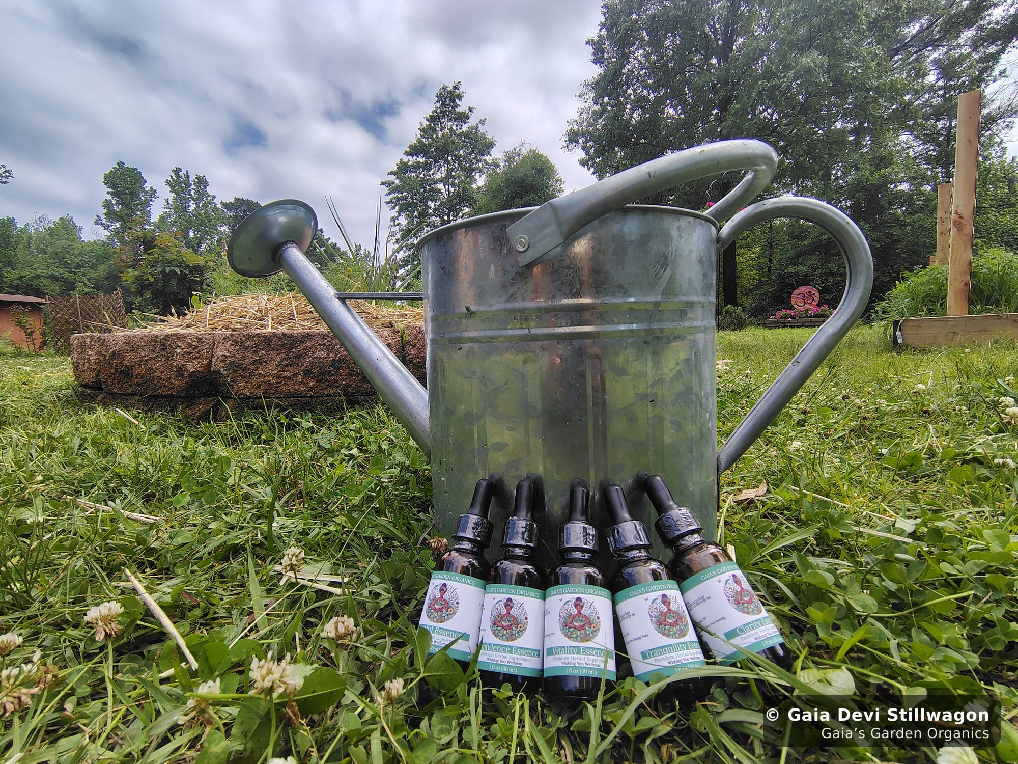 The medicinal herb garden at Gaia's Garden Organics, Umpire, Arkansas · Gaia Devi, clinical herbalist