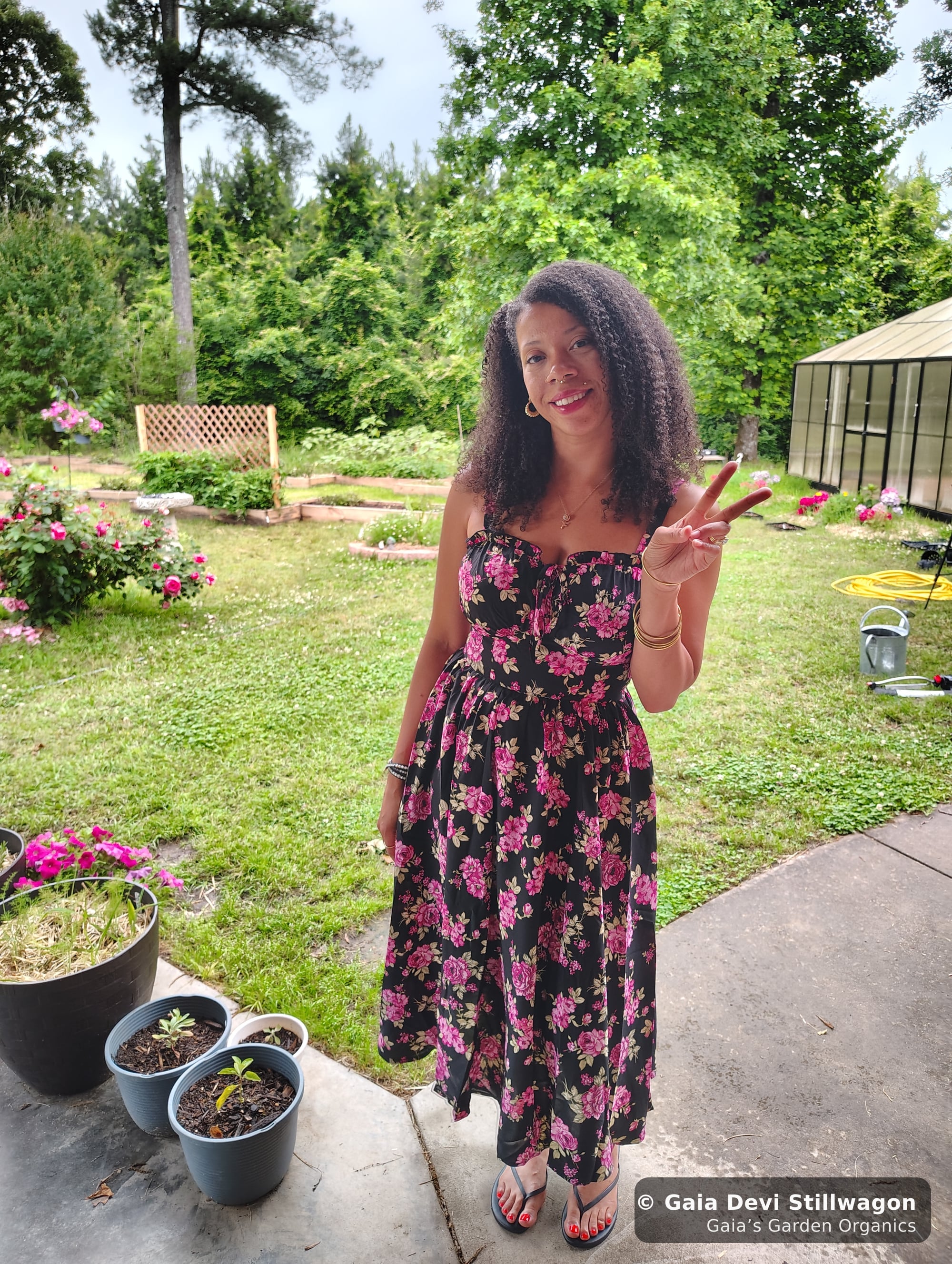 The medicinal herb garden at Gaia's Garden Organics, Umpire, Arkansas · Gaia Devi, clinical herbalist