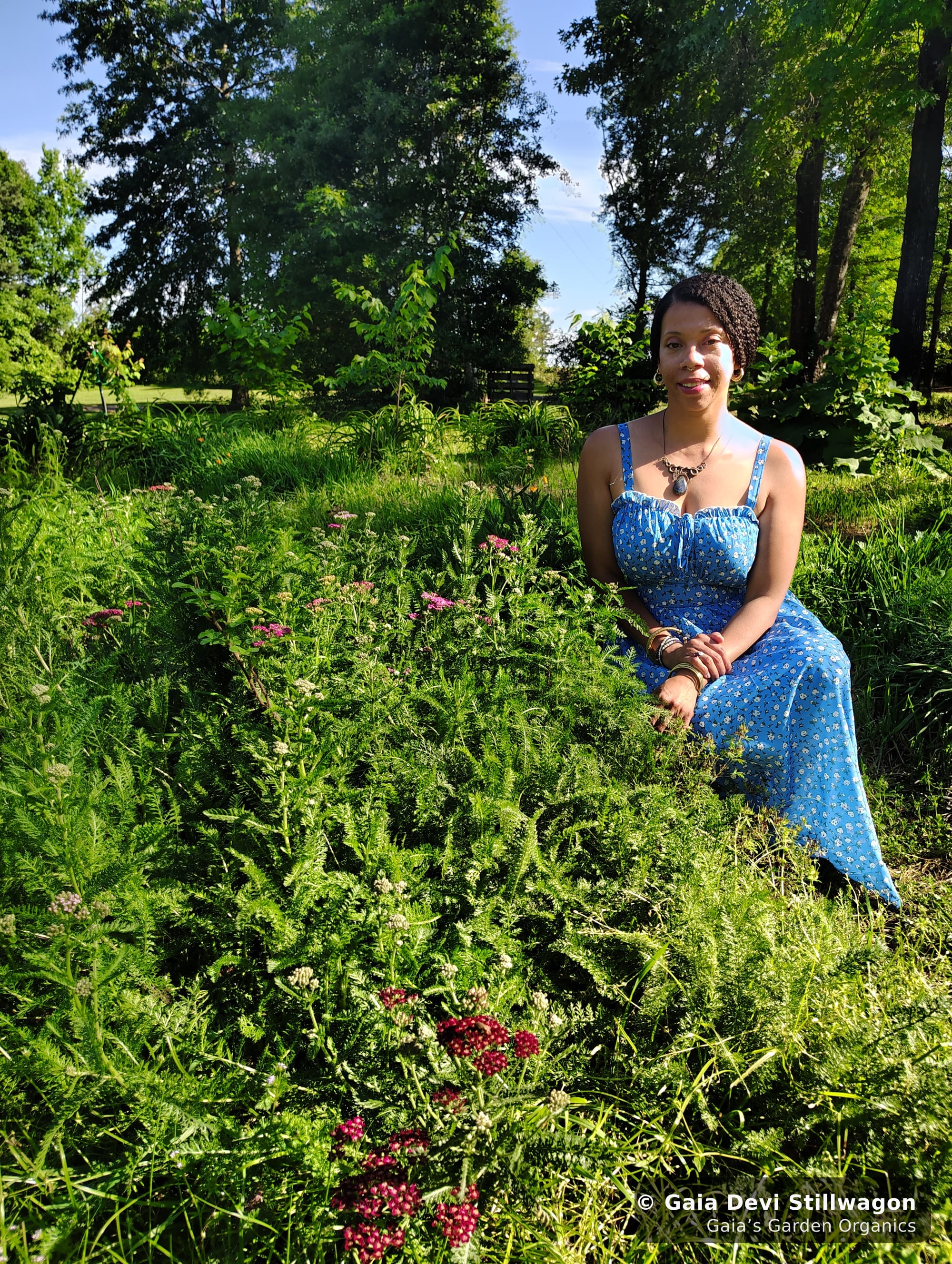 The medicinal herb garden at Gaia's Garden Organics, Umpire, Arkansas · Gaia Devi, clinical herbalist