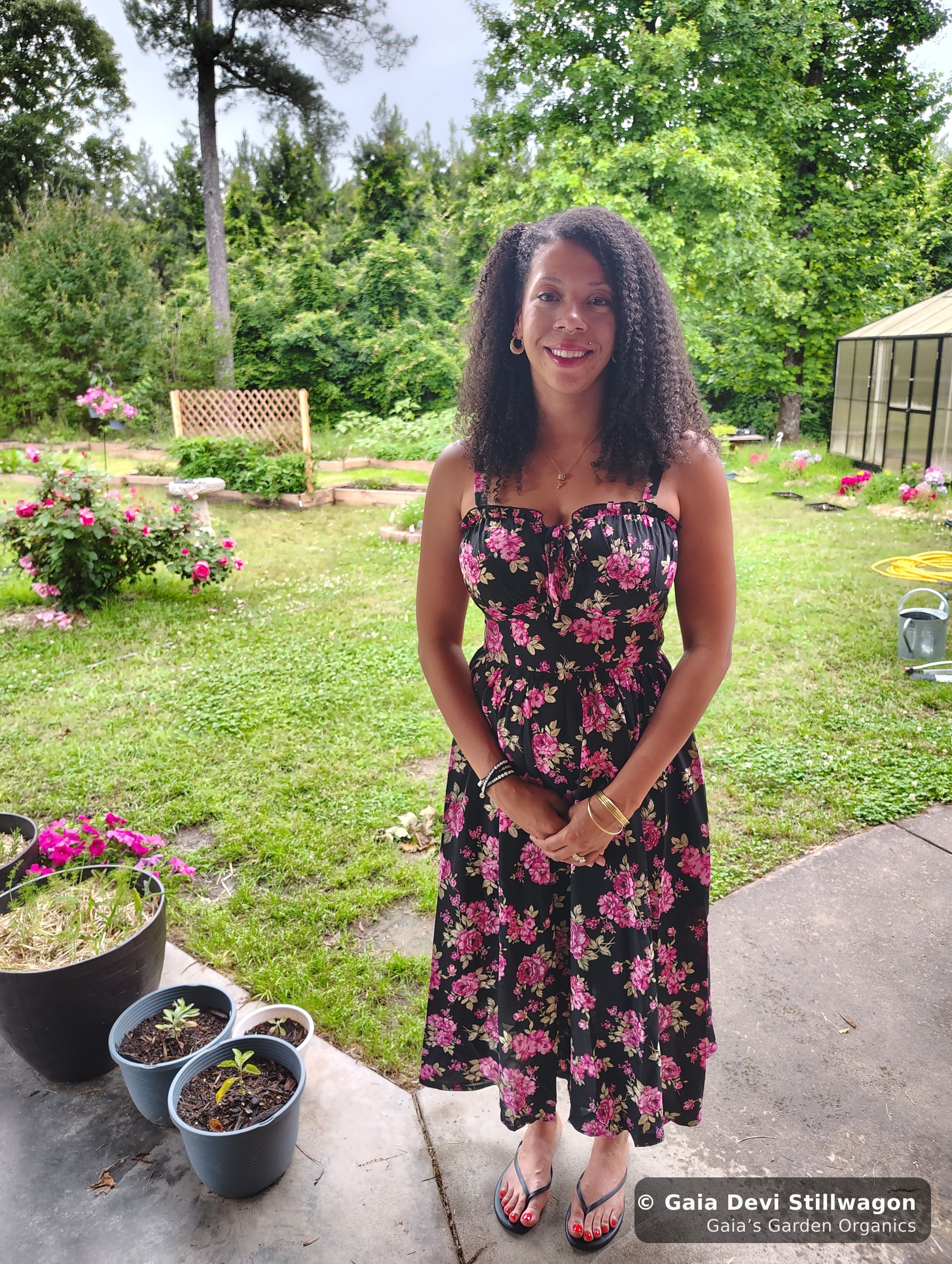 The medicinal herb garden at Gaia's Garden Organics, Umpire, Arkansas · Gaia Devi, clinical herbalist
