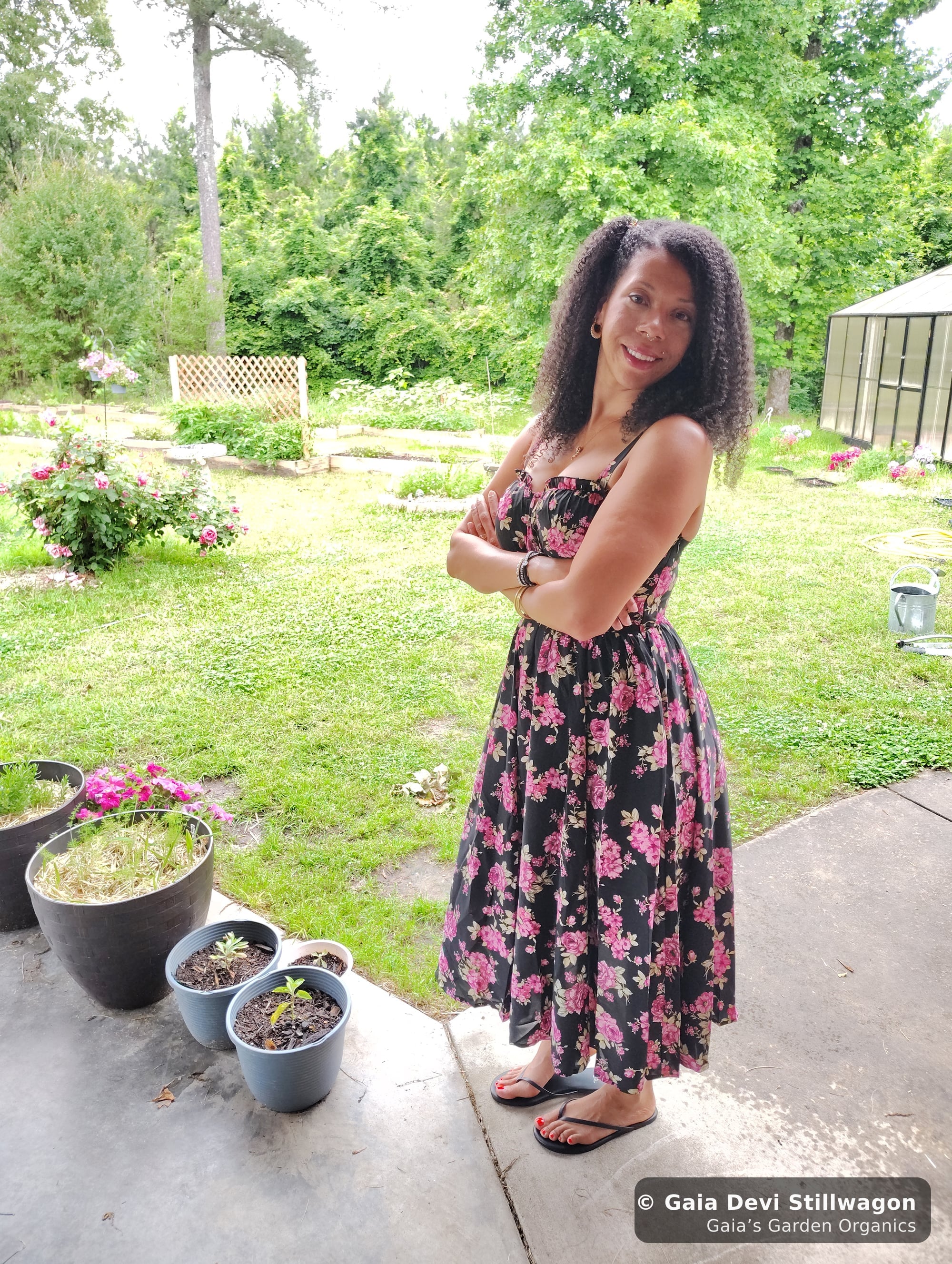 The medicinal herb garden at Gaia's Garden Organics, Umpire, Arkansas · Gaia Devi, clinical herbalist