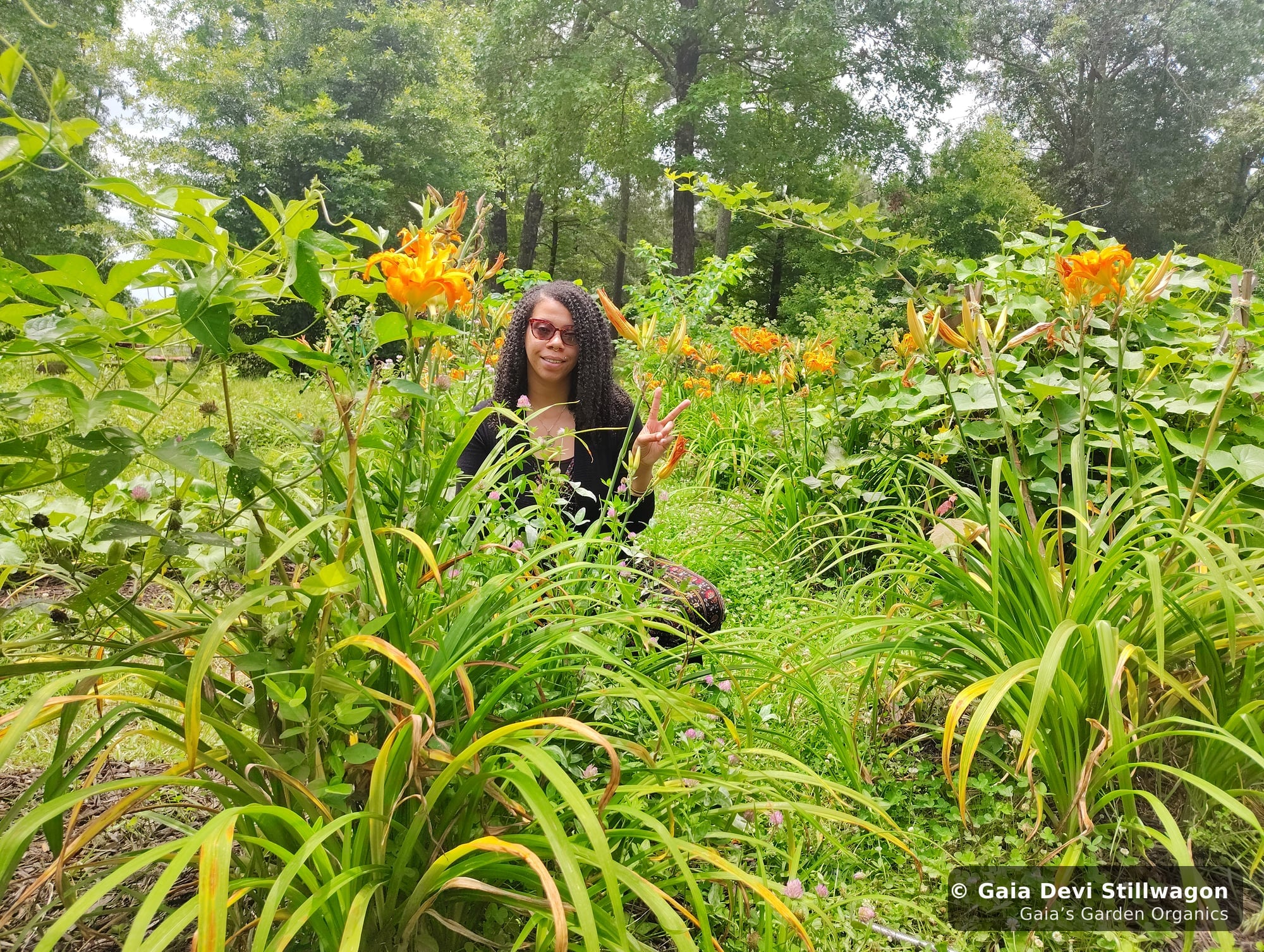 The medicinal herb garden at Gaia's Garden Organics, Umpire, Arkansas · Gaia Devi, clinical herbalist