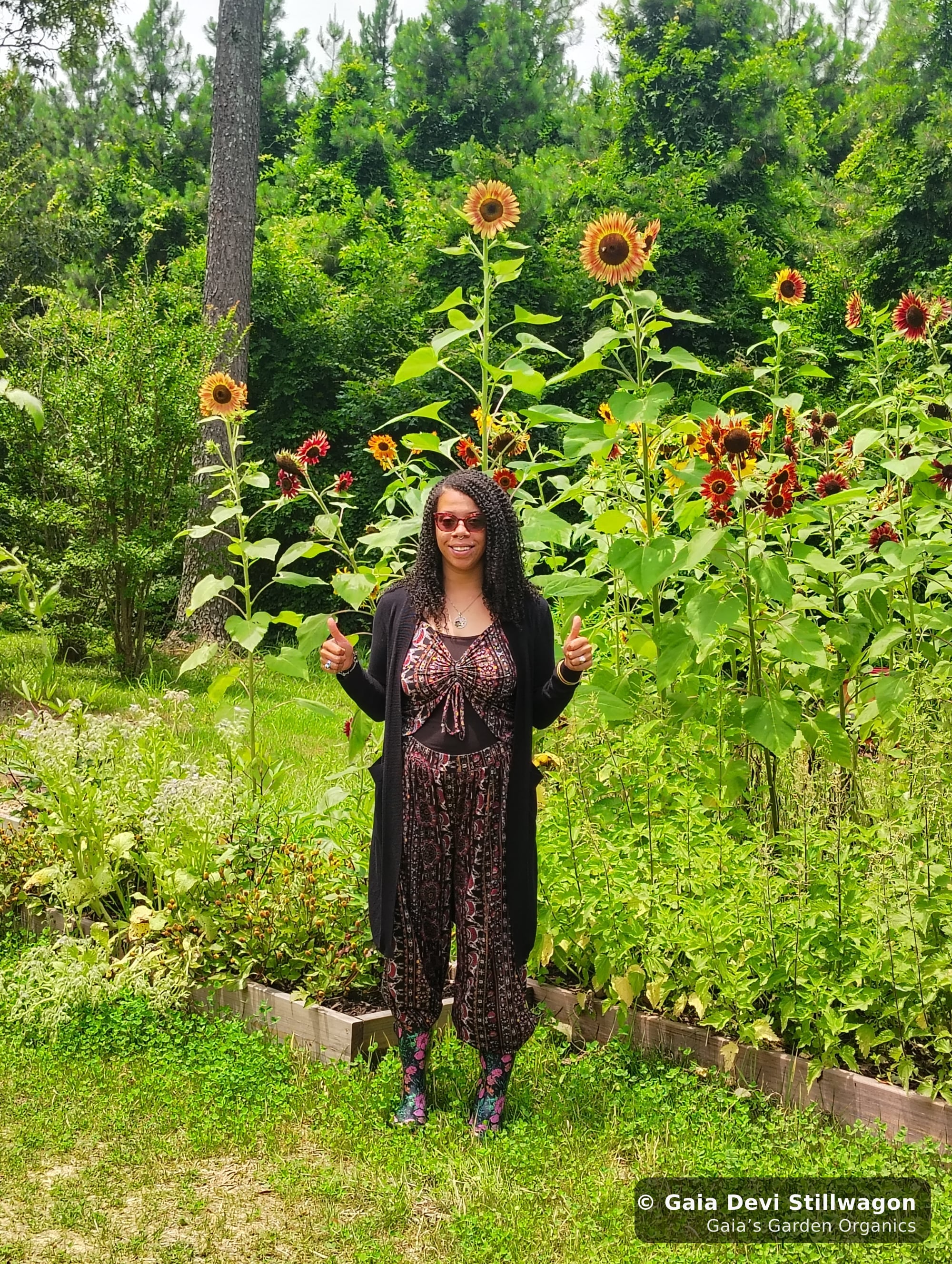The medicinal herb garden at Gaia's Garden Organics, Umpire, Arkansas · Gaia Devi, clinical herbalist