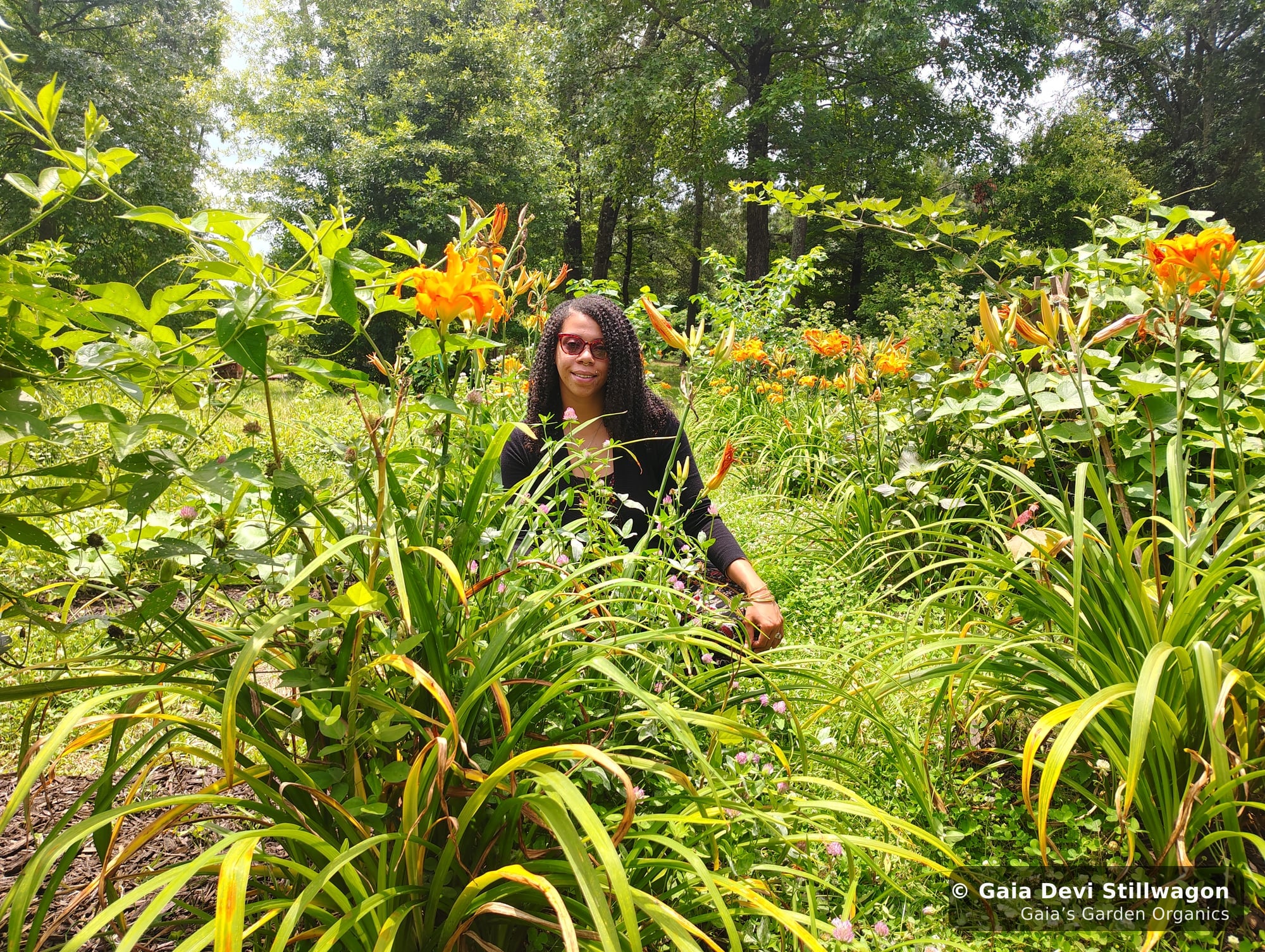 The medicinal herb garden at Gaia's Garden Organics, Umpire, Arkansas · Gaia Devi, clinical herbalist
