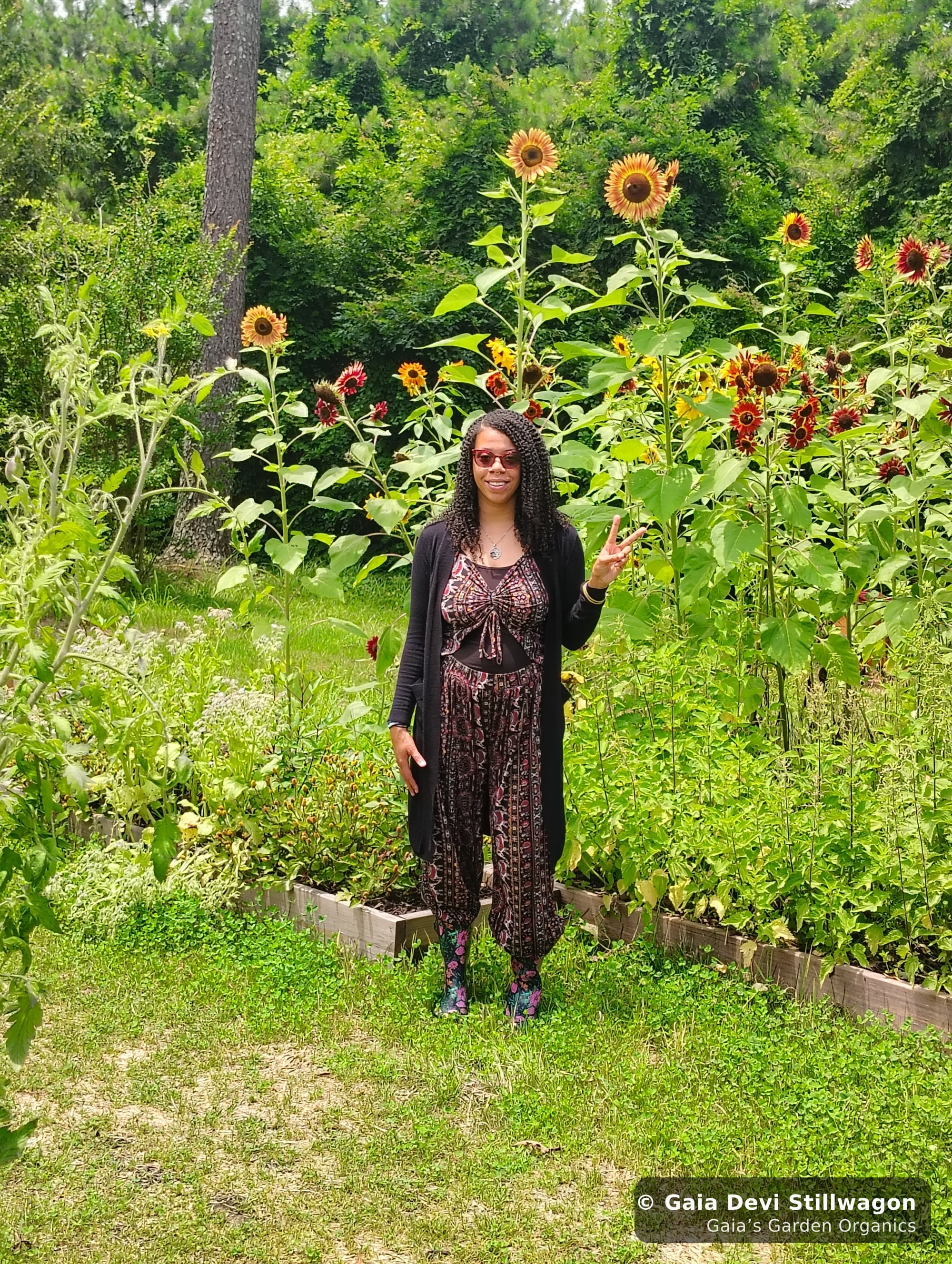 The medicinal herb garden at Gaia's Garden Organics, Umpire, Arkansas · Gaia Devi, clinical herbalist
